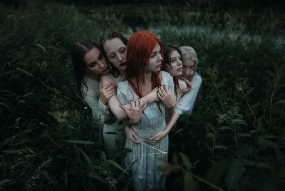 5Dimes Cazino Cazinou Suport